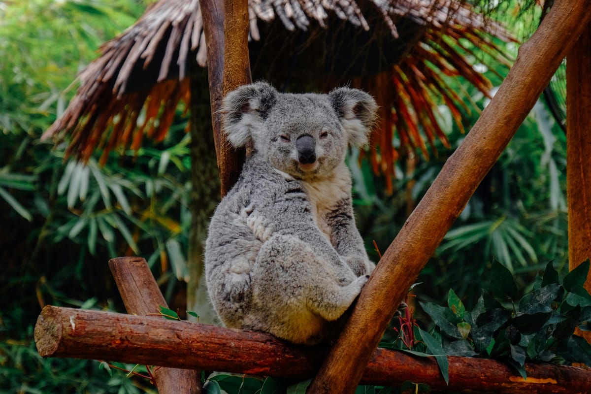 25 Best Things to Do in Australia You’ll definitely Love